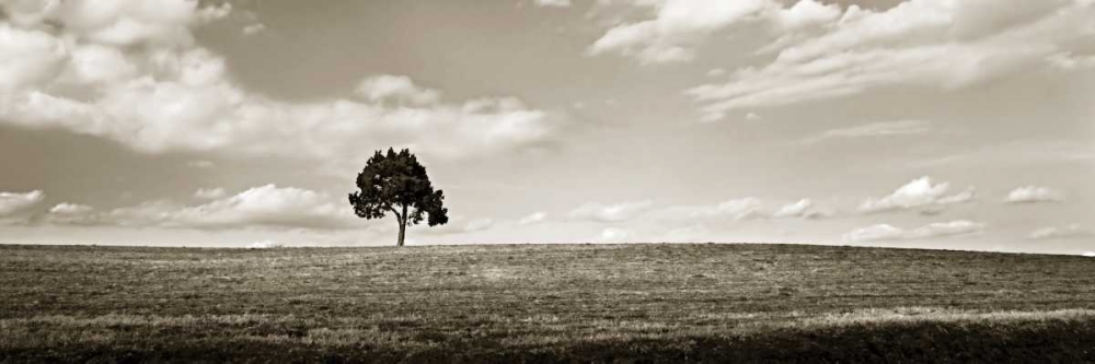 Similar wall art painting: 505