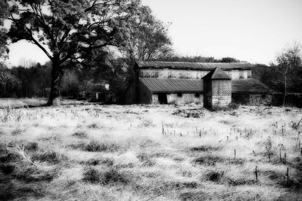 Similar wall art painting: 1968