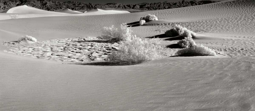 Similar wall art painting: 14467