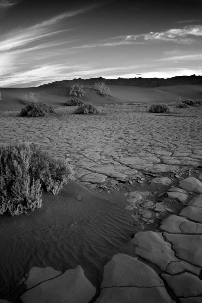 Wall Art Painting id:20046, Name: Death Valley Dunes II, Artist: Johnson, George