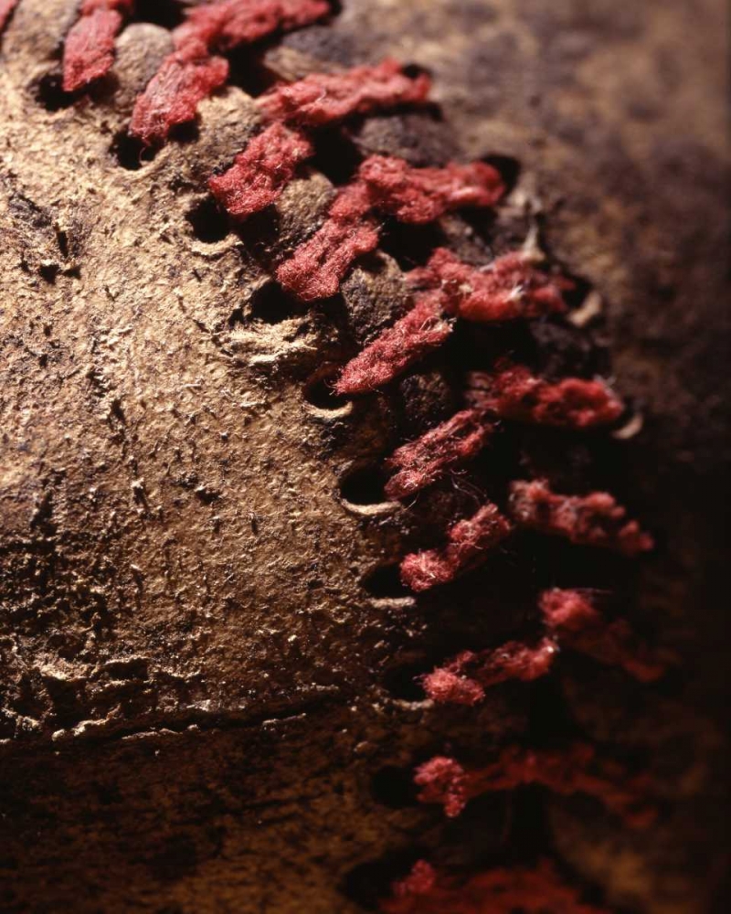 Similar wall art painting: 2175