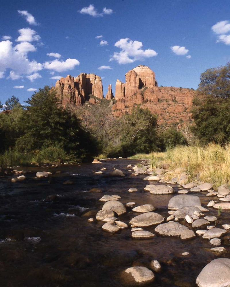 Wall Art Painting id:2203, Name: Desert Stream I, Artist: Larson, Scott