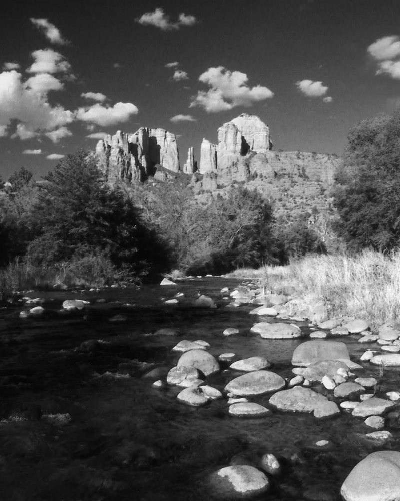 Wall Art Painting id:2204, Name: Desert Stream II, Artist: Larson, Scott