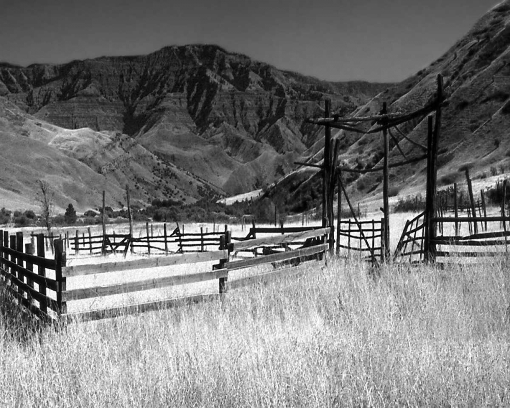 Similar wall art painting: 2206