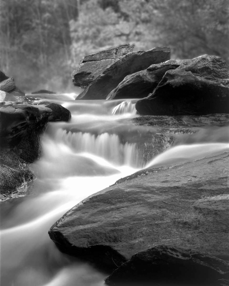 Similar wall art painting: 2217