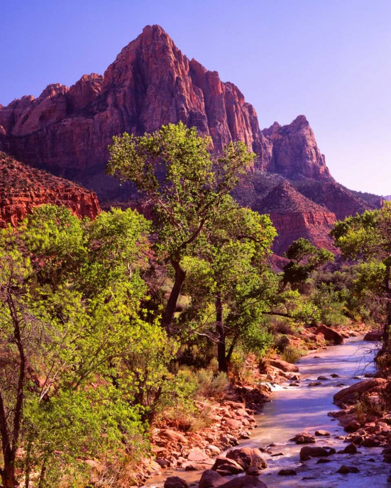 Wall Art Painting id:145852, Name: Zion National Park I, Artist: Leahy, Ike