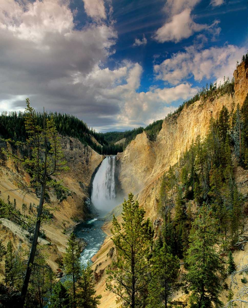 Wall Art Painting id:145854, Name: Yellowstone Falls, Artist: Leahy, Ike