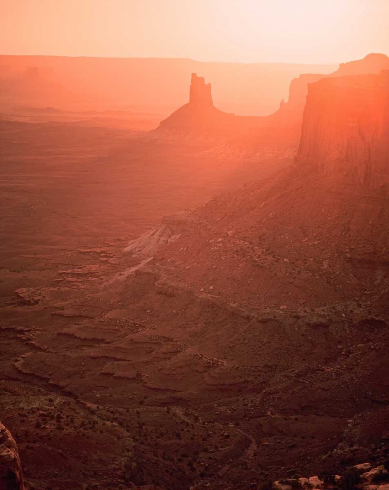 Wall Art Painting id:145855, Name: Canyon Lands National Park I, Artist: Leahy, Ike