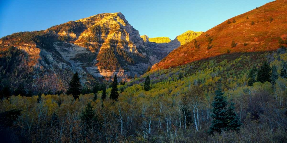 Similar wall art painting: 145862