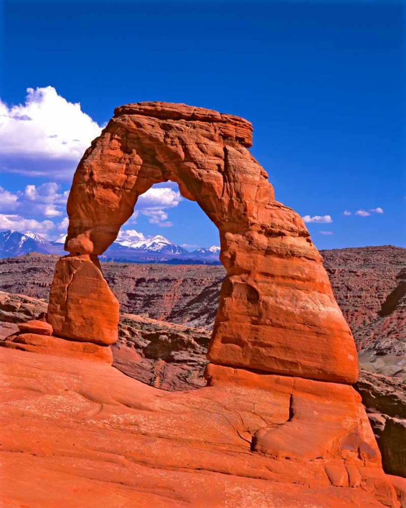 Wall Art Painting id:145874, Name: Arches National Park III, Artist: Leahy, Ike