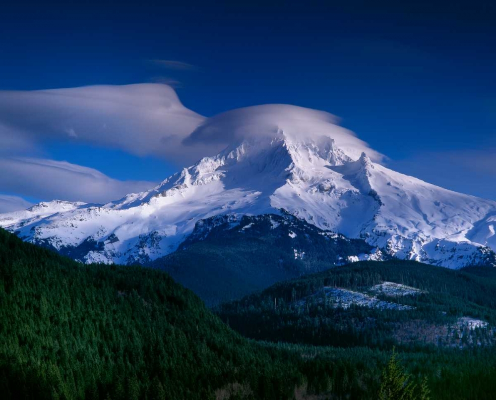 Wall Art Painting id:145918, Name: Mt. Hood XII, Artist: Leahy, Ike