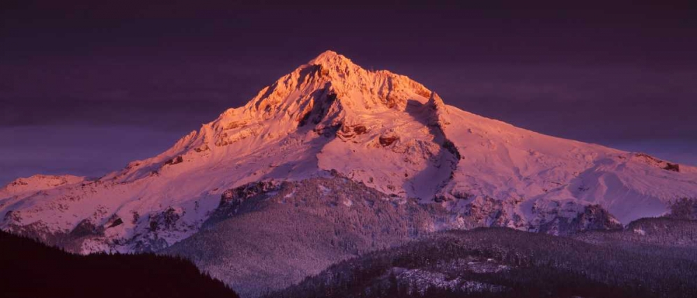 Wall Art Painting id:145928, Name: Mt. Hood XV, Artist: Leahy, Ike