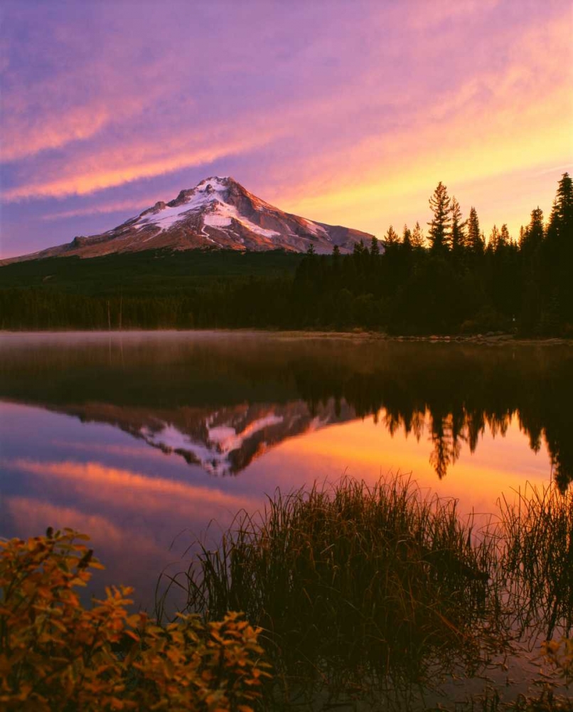 Wall Art Painting id:145929, Name: Mt. Hood XVI, Artist: Leahy, Ike