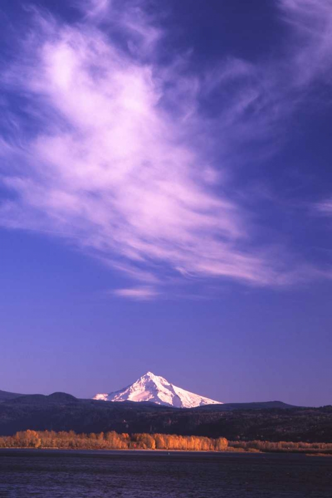 Wall Art Painting id:145931, Name: Mt. Hood XVIII, Artist: Leahy, Ike