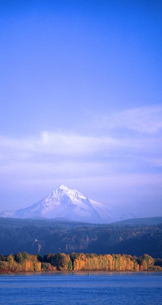 Wall Art Painting id:145932, Name: Mt. Hood XIX, Artist: Leahy, Ike