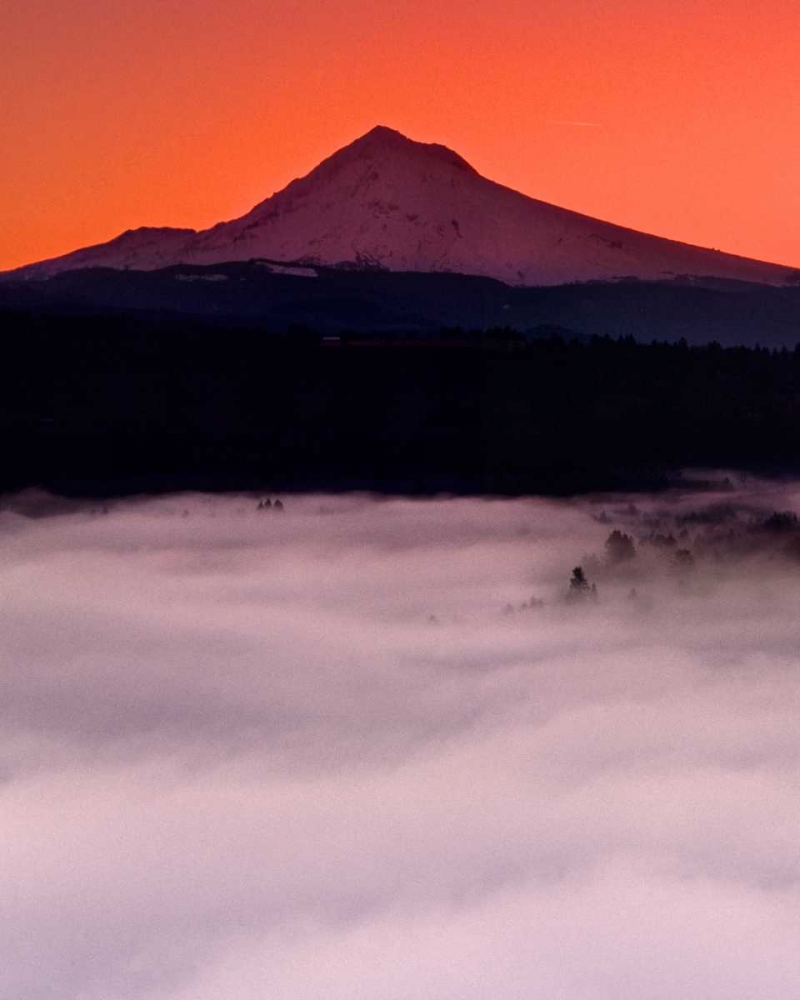 Wall Art Painting id:145942, Name: Mt. Hood XX, Artist: Leahy, Ike