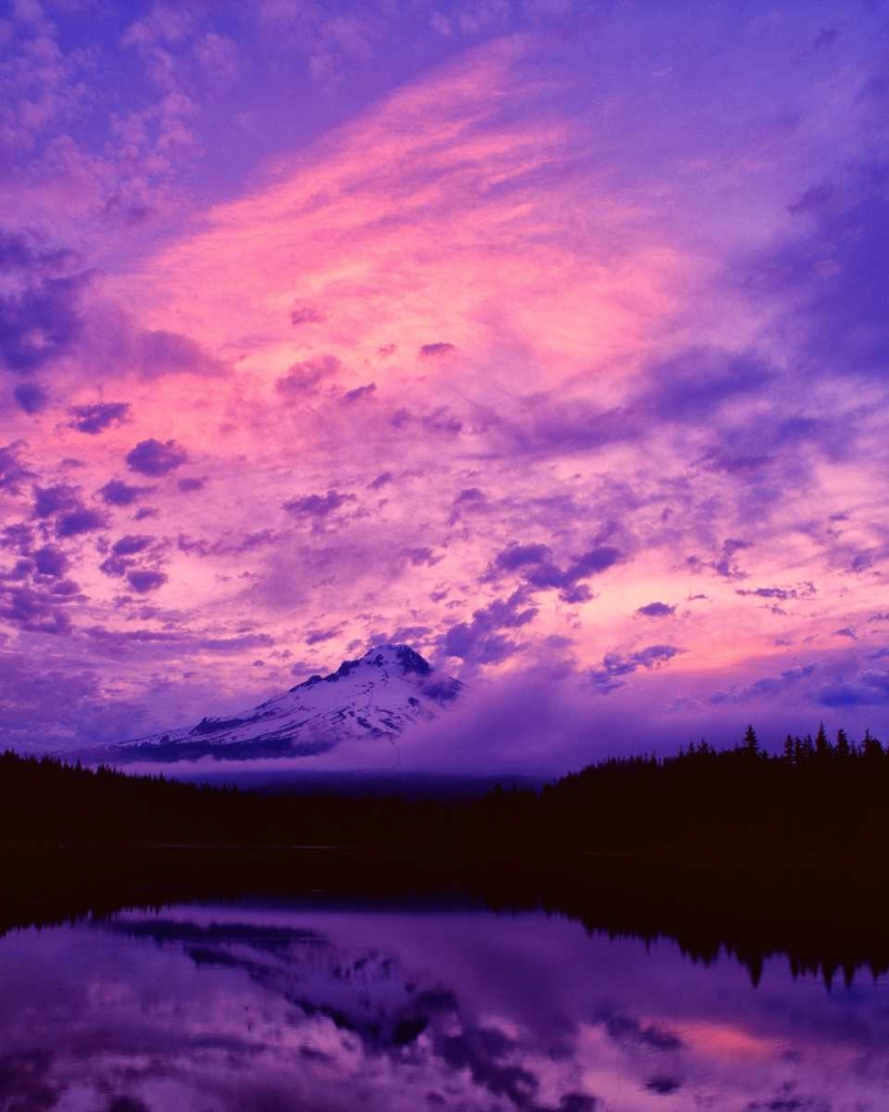 Similar wall art painting: 145943