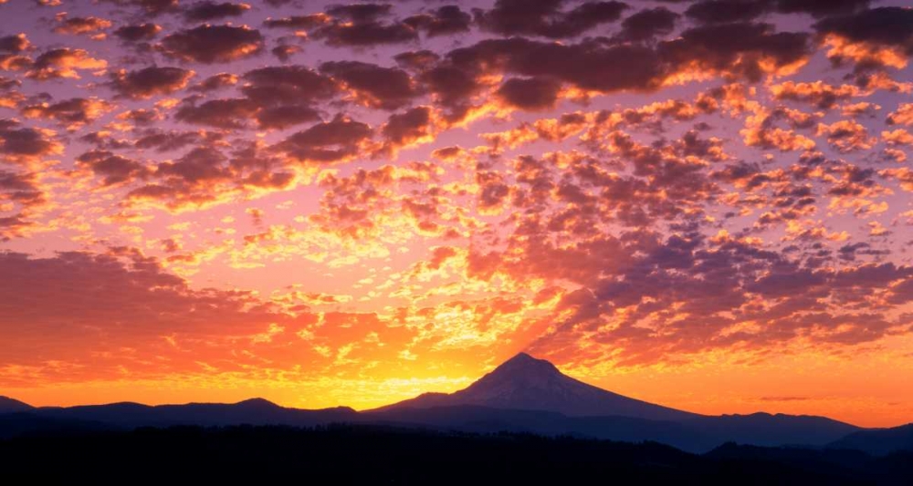 Wall Art Painting id:145945, Name: Mt. Hood XXIII, Artist: Leahy, Ike