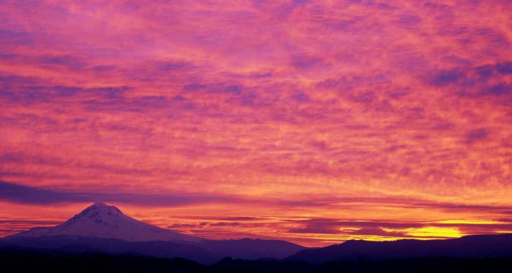 Wall Art Painting id:145947, Name: Mt. Hood XXV, Artist: Leahy, Ike