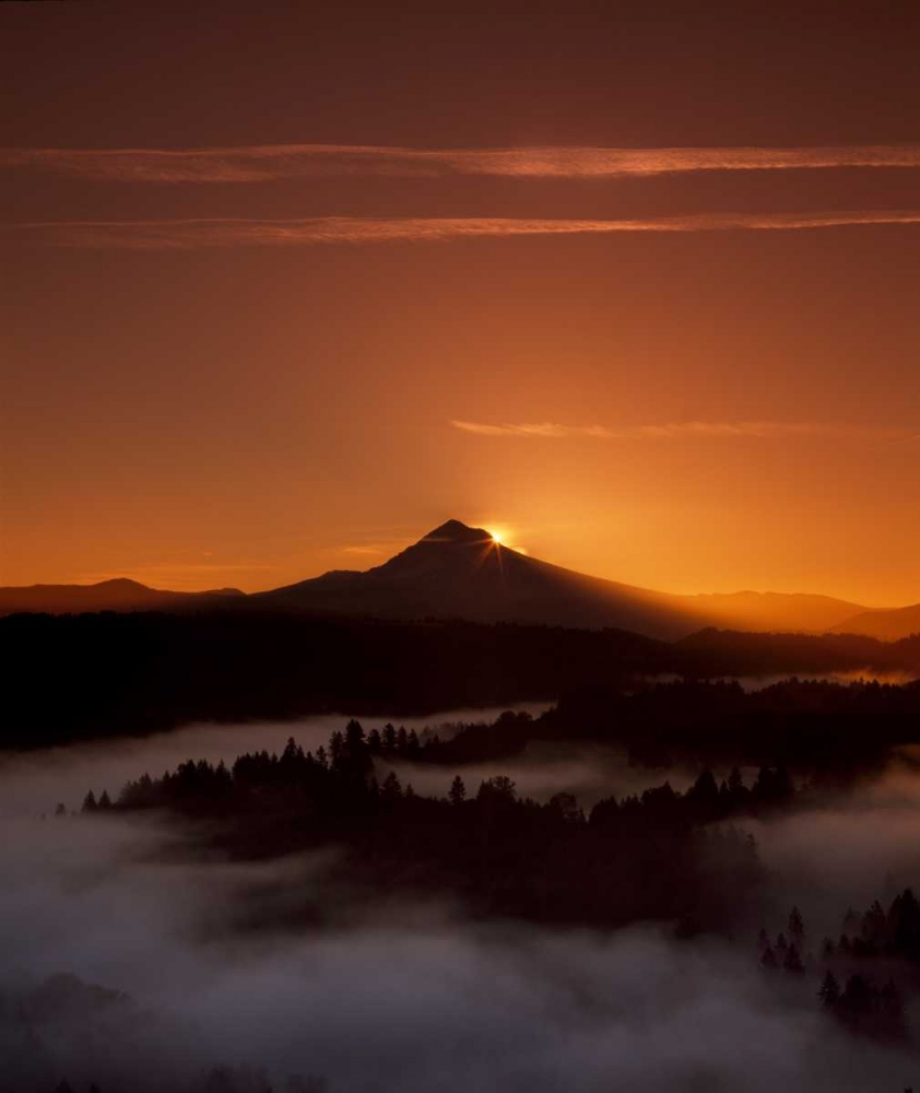 Wall Art Painting id:145948, Name: Mt. Hood XXVI, Artist: Leahy, Ike