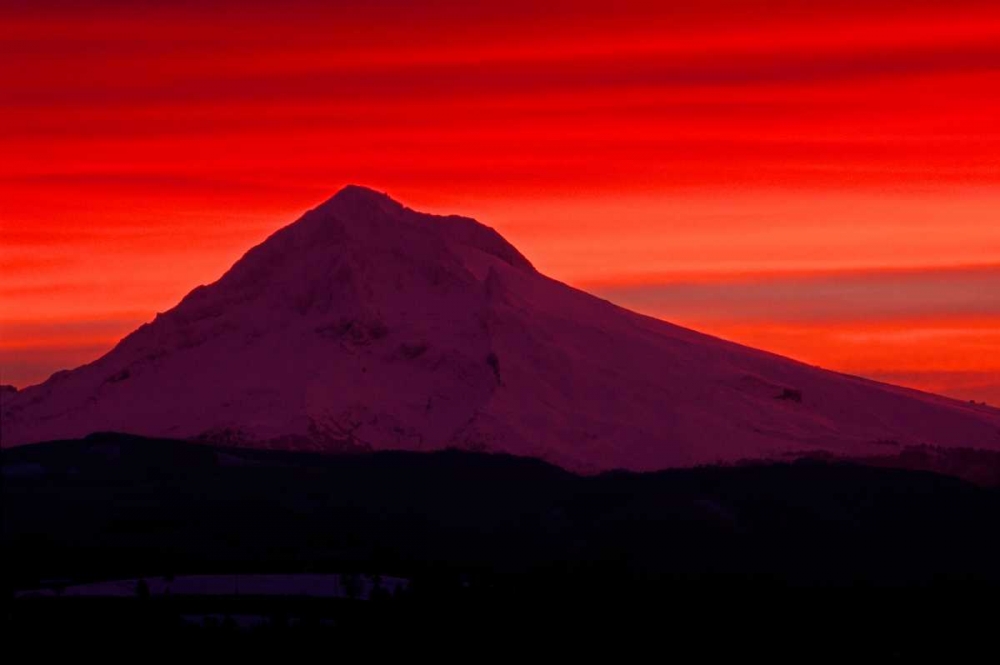 Wall Art Painting id:145951, Name: Mt. Hood XXVIII, Artist: Leahy, Ike