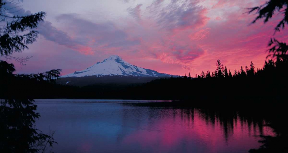 Wall Art Painting id:145953, Name: Mt. Hood XXX, Artist: Leahy, Ike