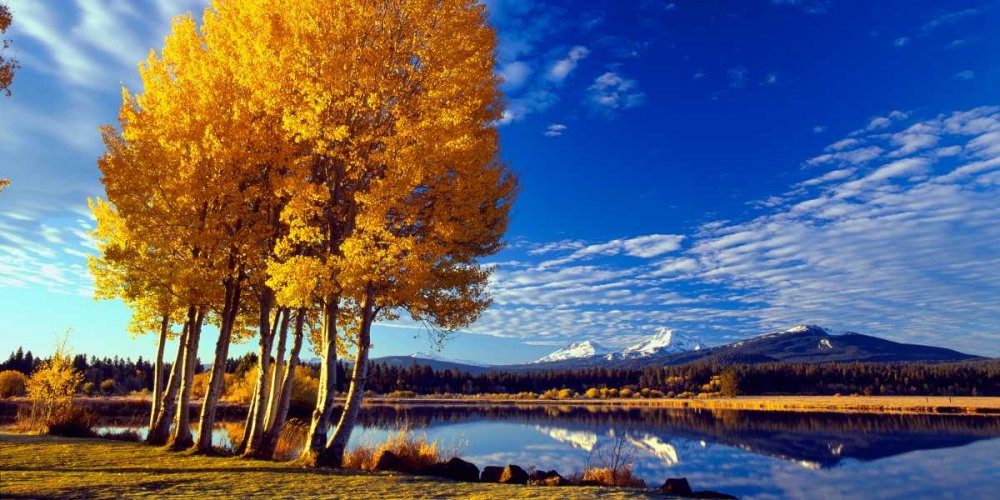 Wall Art Painting id:145961, Name: Sisters in Autumn I, Artist: Leahy, Ike