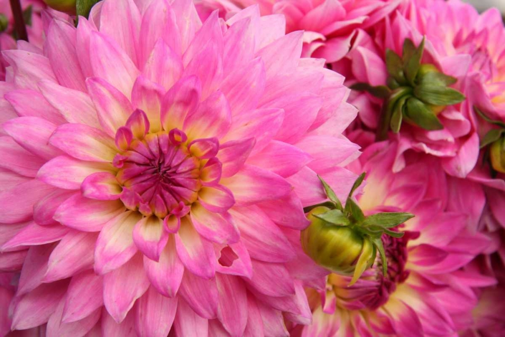 Similar wall art painting: 2268