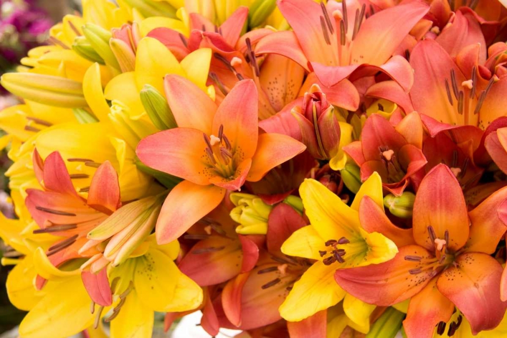 Similar wall art painting: 2271