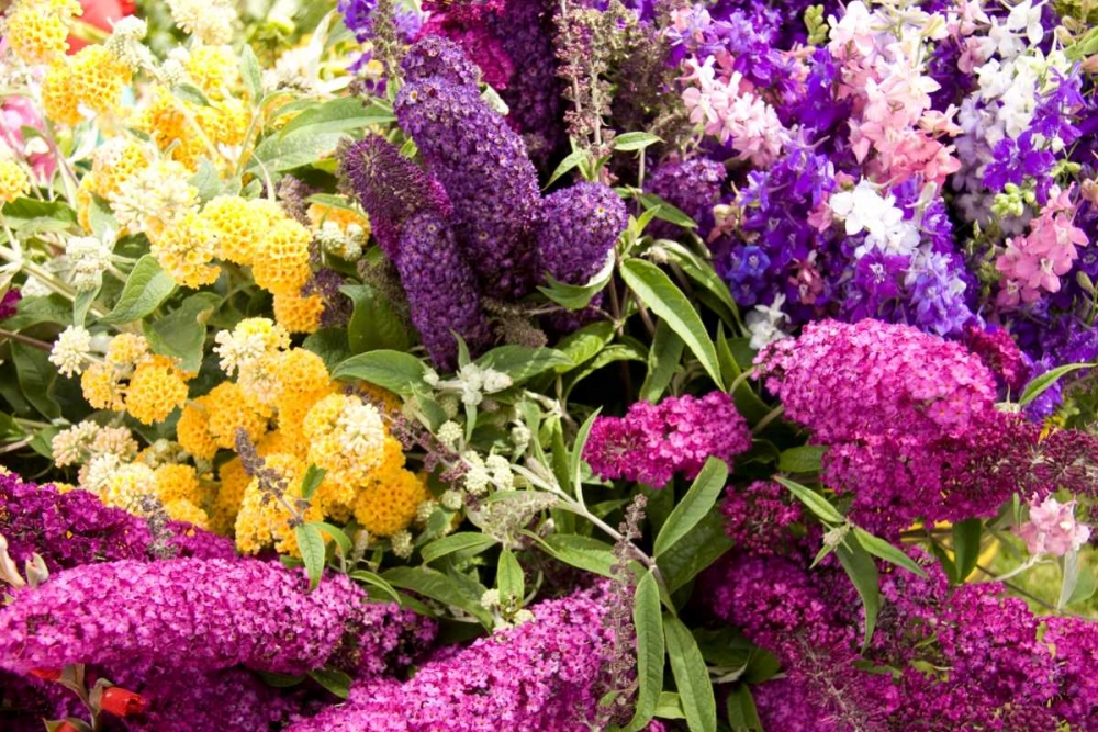 Similar wall art painting: 2272