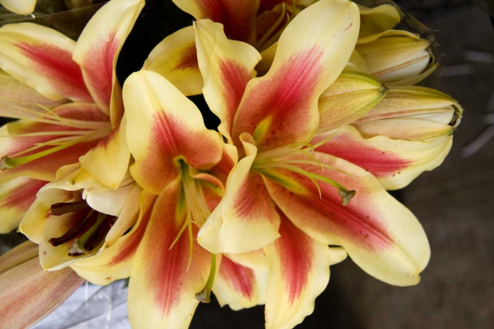 Similar wall art painting: 2281