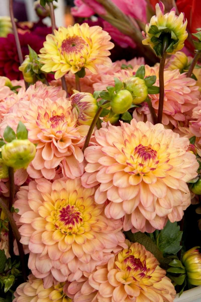 Similar wall art painting: 2284