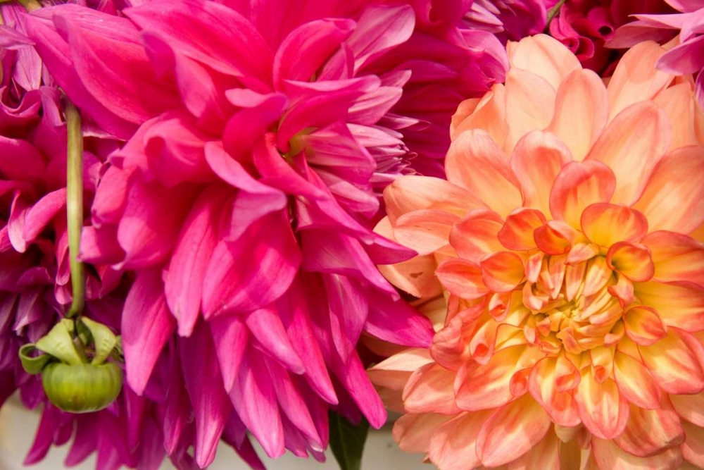 Similar wall art painting: 2286