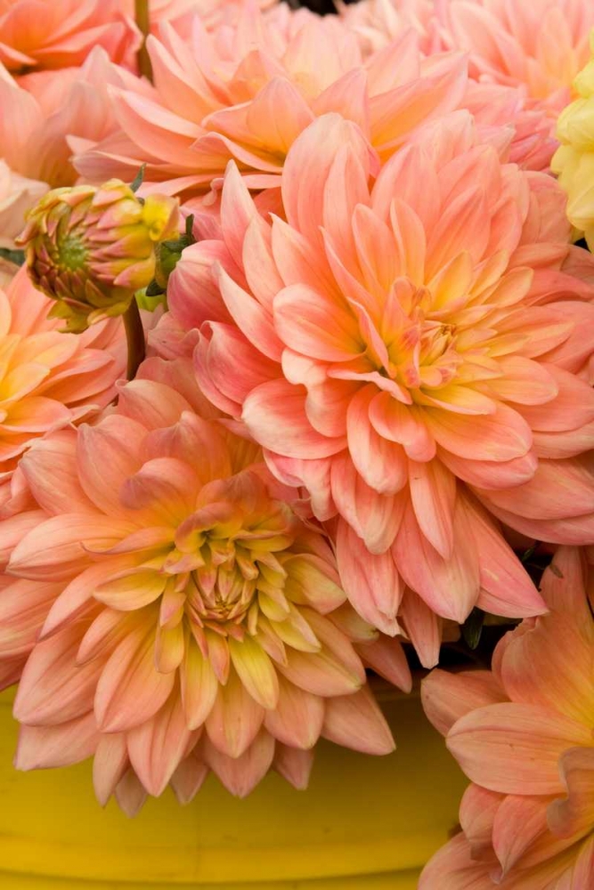 Similar wall art painting: 2290