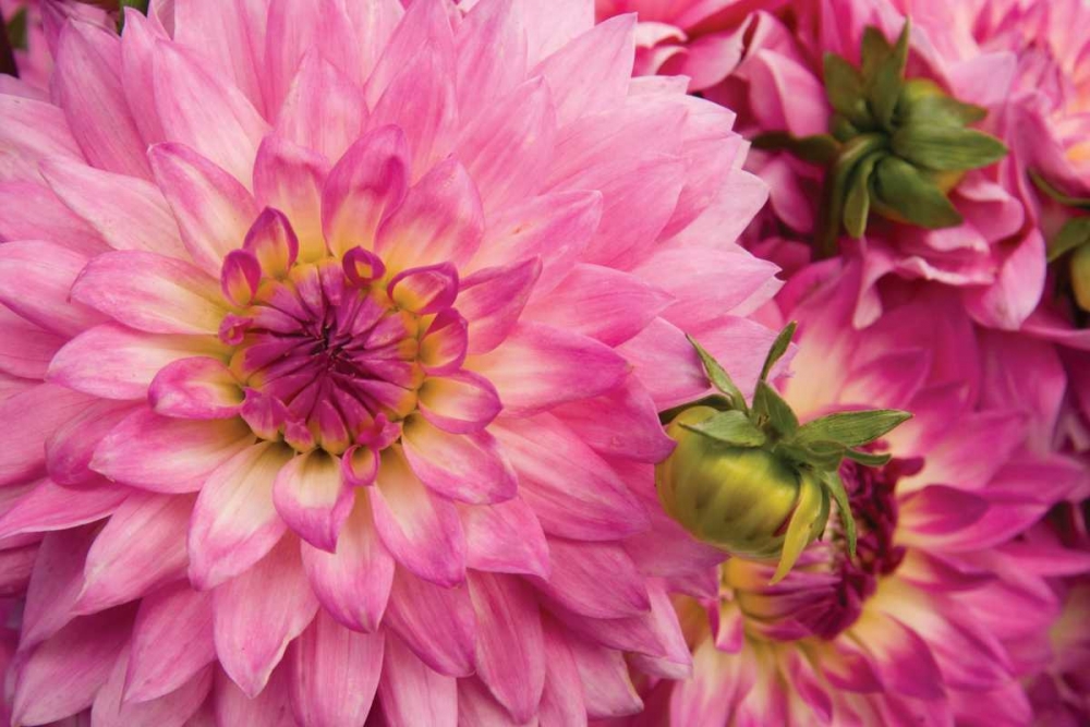 Similar wall art painting: 2292