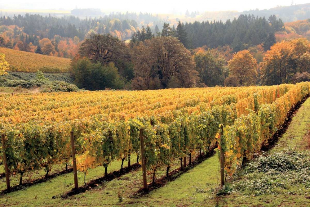 Similar wall art painting: 2307