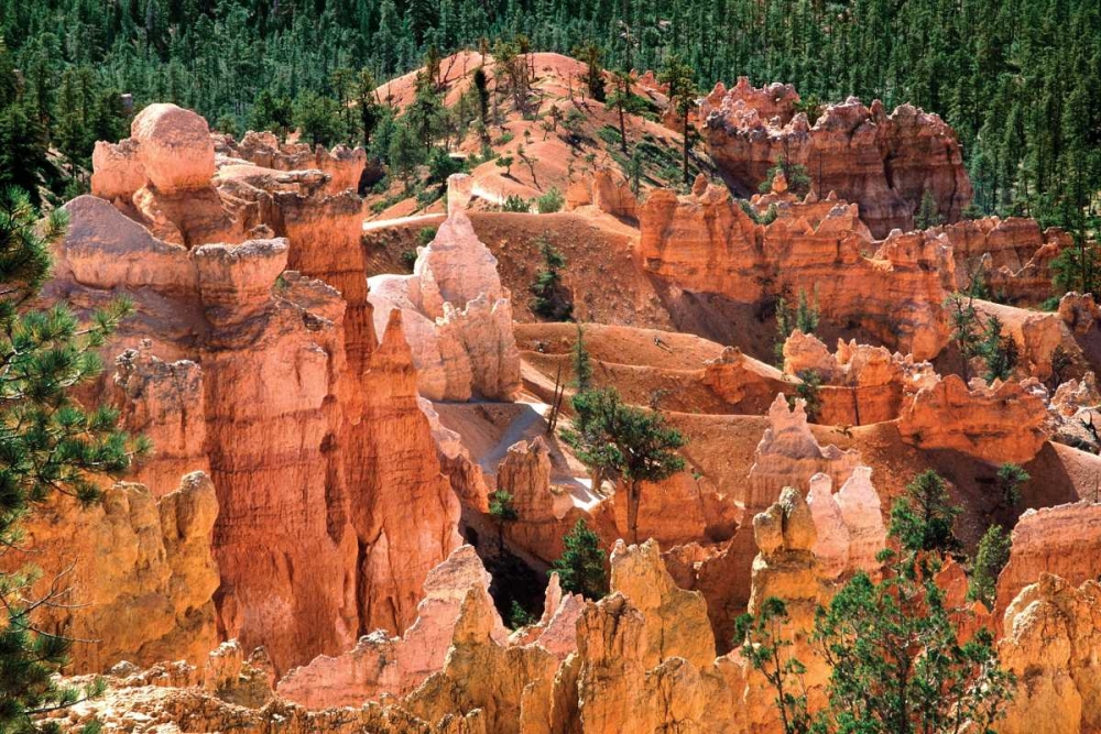 Similar wall art painting: 2320