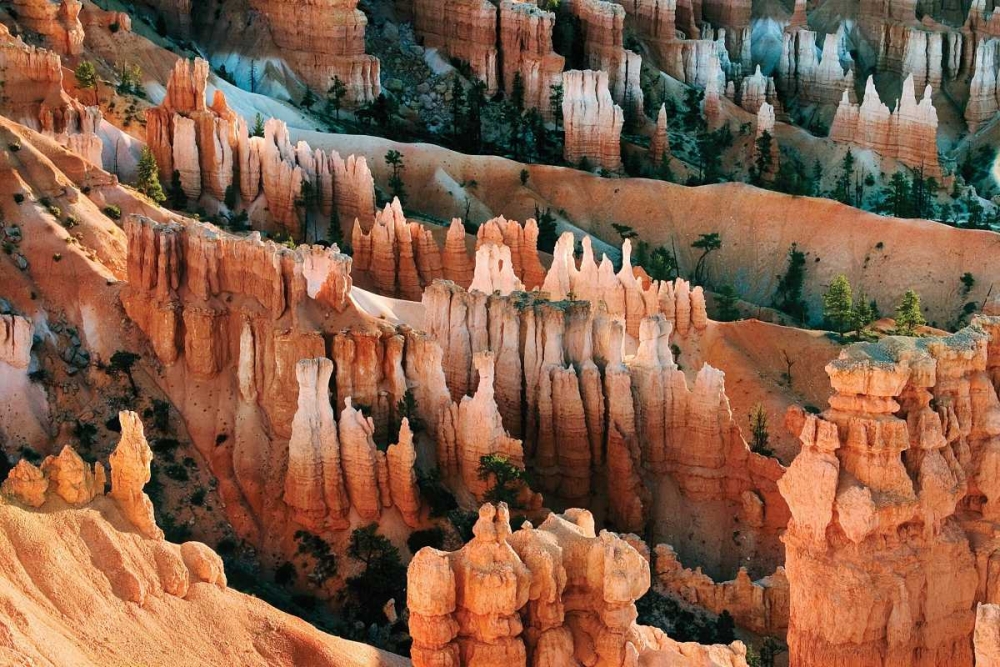 Similar wall art painting: 2321