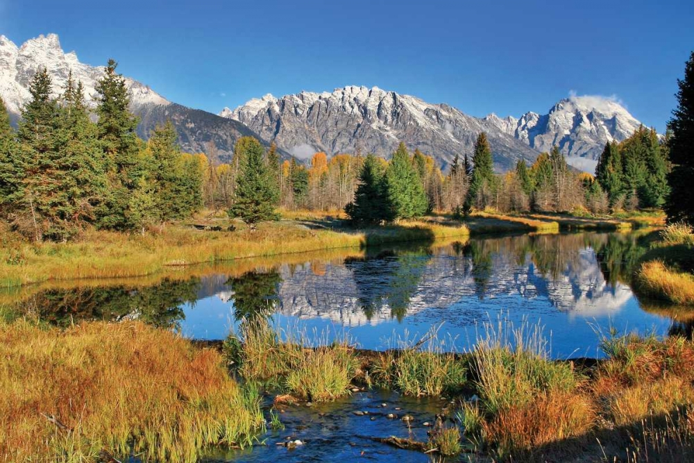 Wall Art Painting id:2341, Name: Schwabacher Pond, Artist: Malvin, Larry