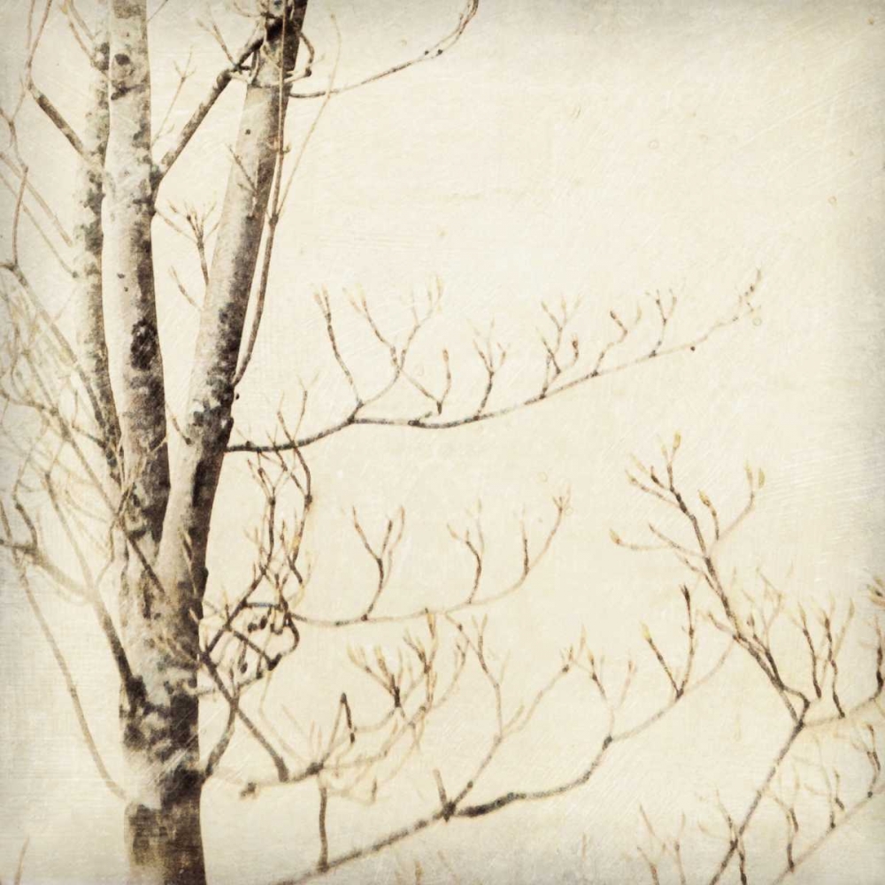 Wall Art Painting id:2389, Name: Winter Trees I, Artist: Melious, Amy