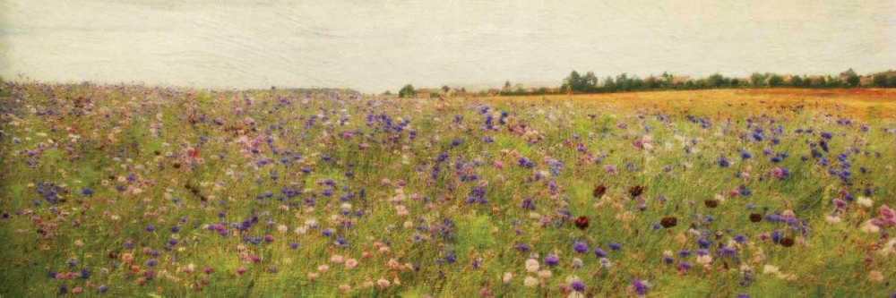 Wall Art Painting id:2400, Name: Wildflower Field I, Artist: Melious, Amy