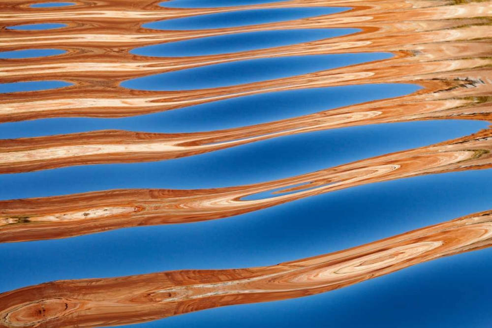 Similar wall art painting: 20117