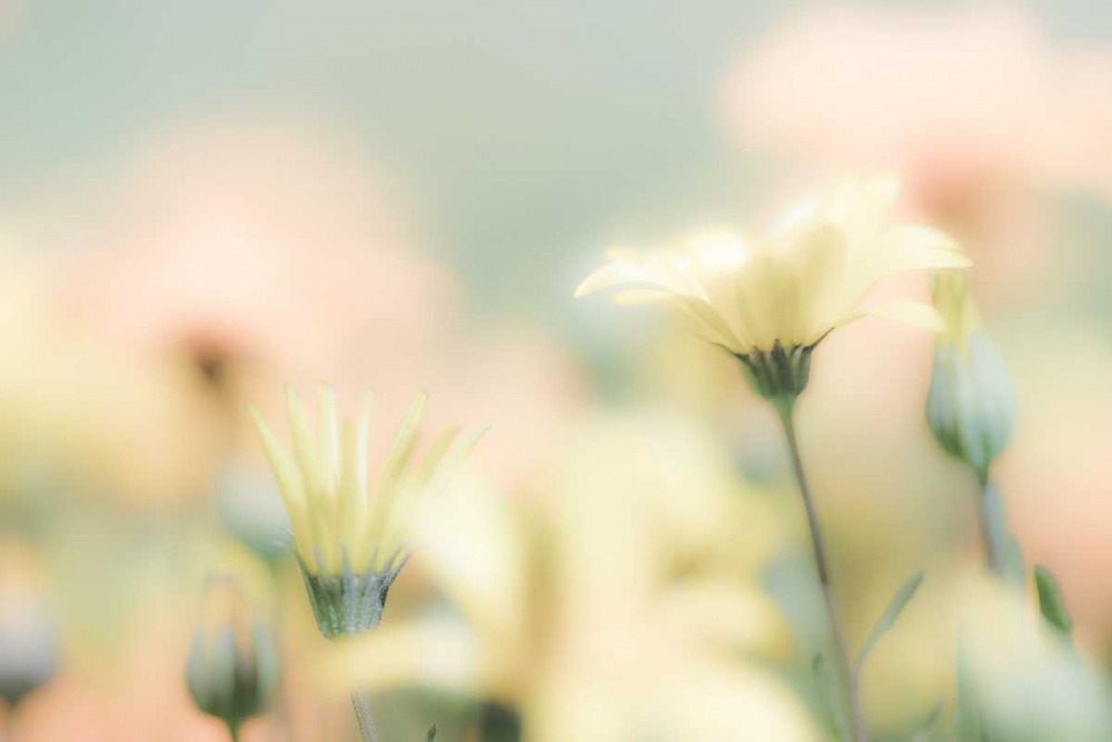 Similar wall art painting: 20179