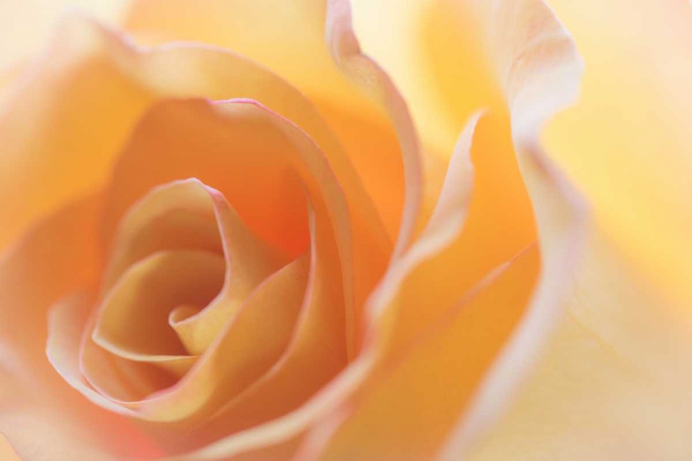 Similar wall art painting: 20182