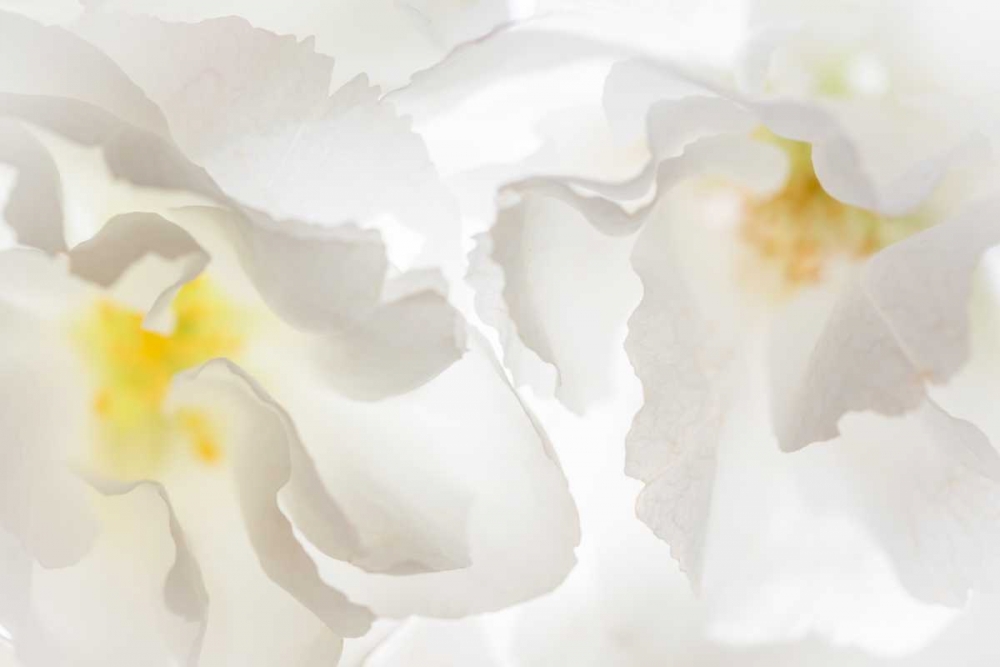 Similar wall art painting: 20190