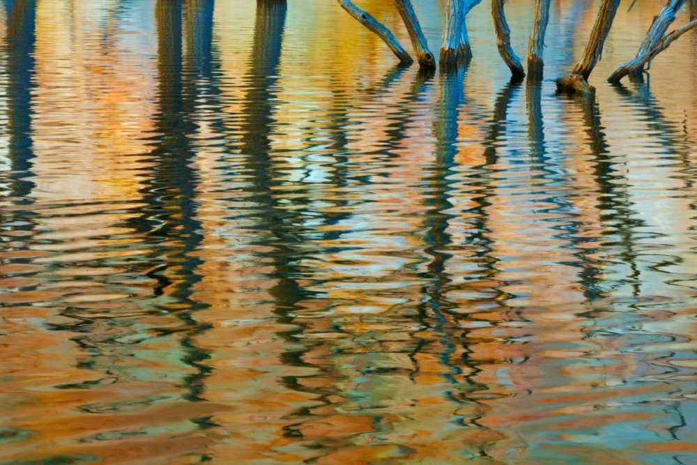 Wall Art Painting id:29403, Name: Lake Powell Reflections I, Artist: Mahan, Kathy