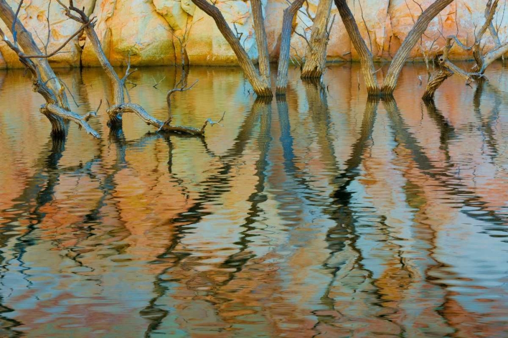 Wall Art Painting id:29404, Name: Lake Powell Reflections II, Artist: Mahan, Kathy