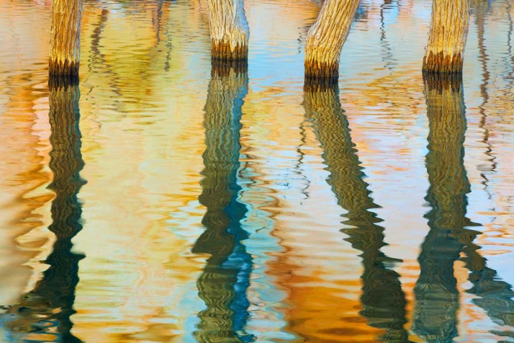 Wall Art Painting id:29405, Name: Lake Powell Reflections III, Artist: Mahan, Kathy