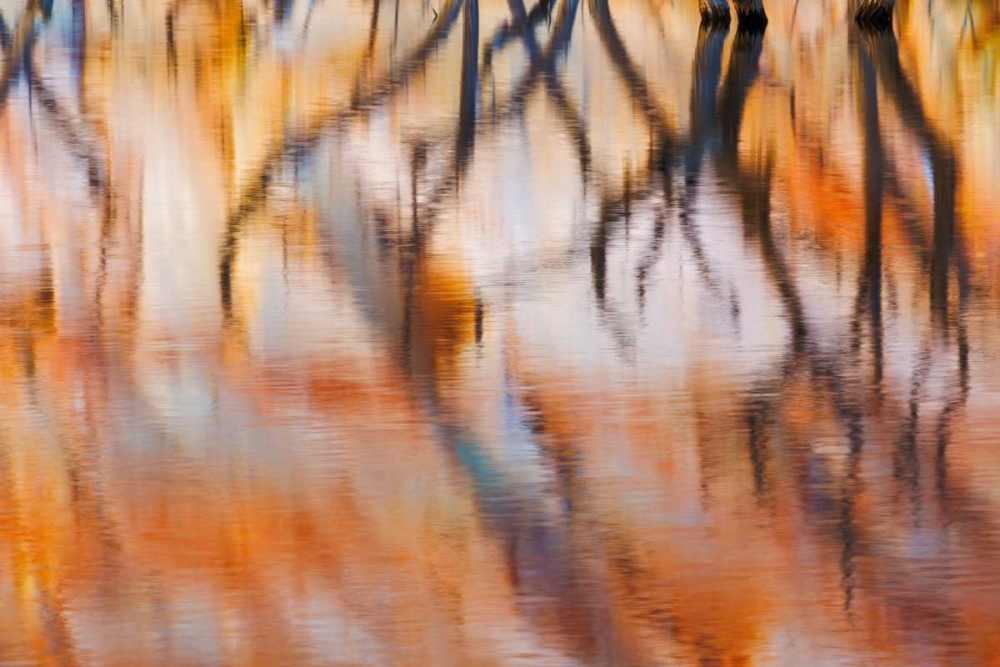 Wall Art Painting id:29406, Name: Lake Powell Reflections IV, Artist: Mahan, Kathy