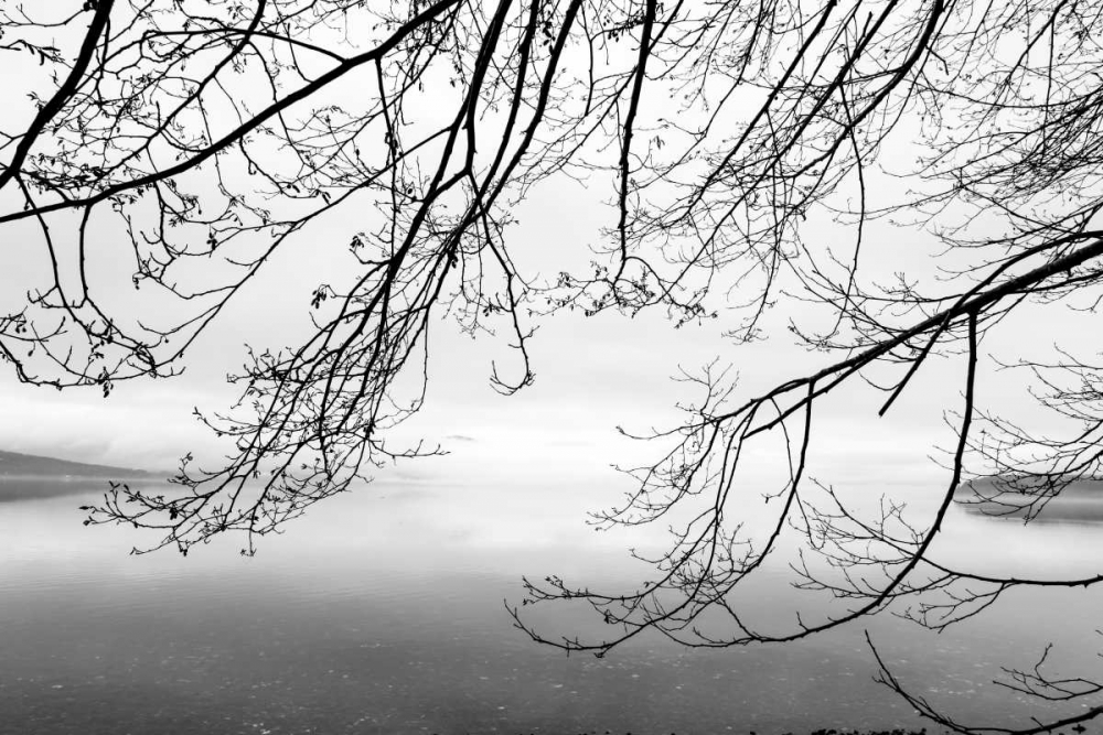 Similar wall art painting: 64179